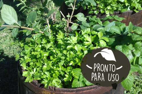 Pronto para Uso